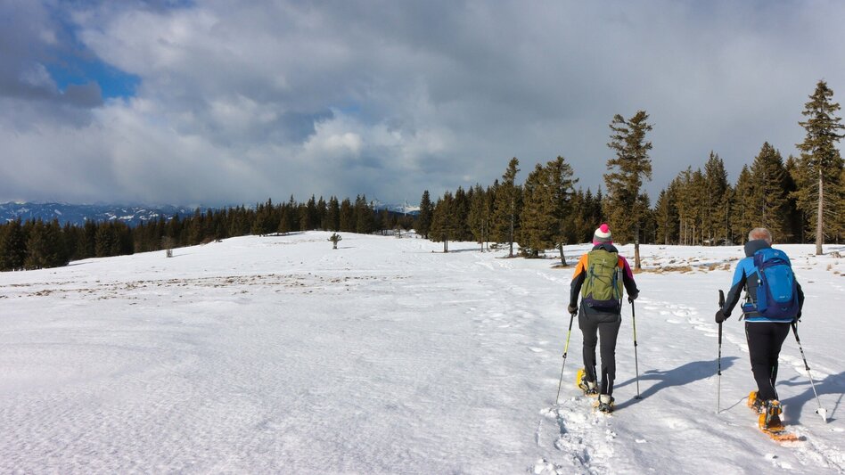 Snowshoe walking Along the Fischbach stream with snowshoes, Fischbach - Touren-Impression #2.4