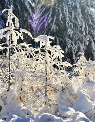 Winter in Fischbach | (c) Andreas Steininger | © Unbekannt