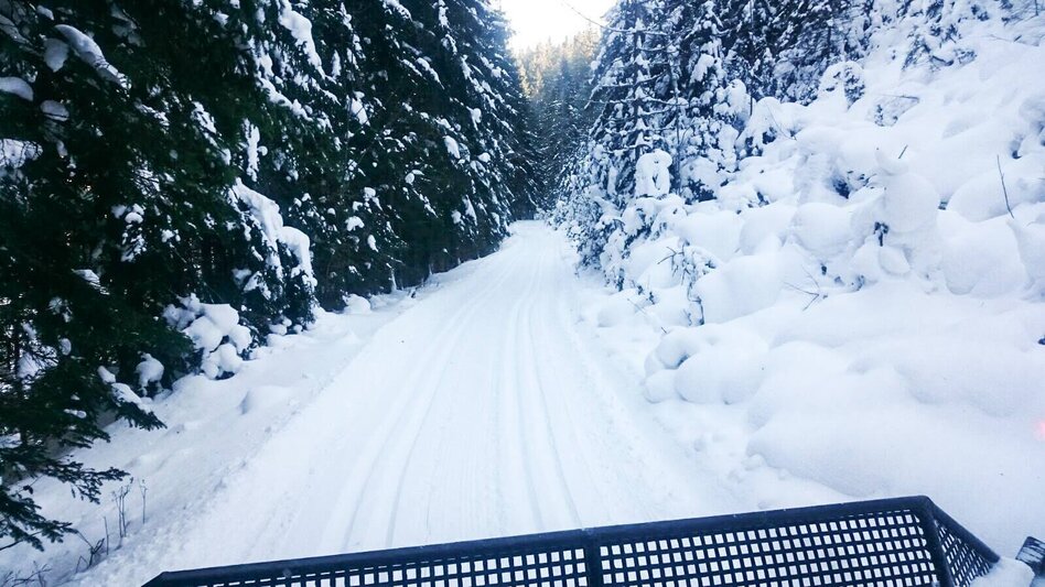 Ski-nordic-classic Langlaufloipe Kinderhotel Appelhof im Naturpark Mürzer Oberland - Touren-Impression #2.2 | © TV Hochsteiermark