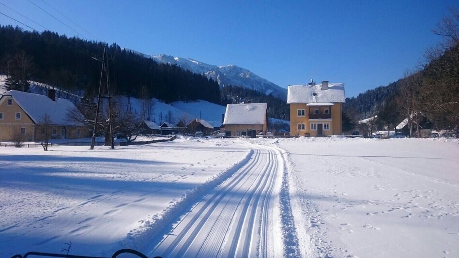 Ski-nordic-classic Langlaufloipe Kinderhotel Appelhof im Naturpark Mürzer Oberland - Touren-Impression #2.3 | © TV Hochsteiermark