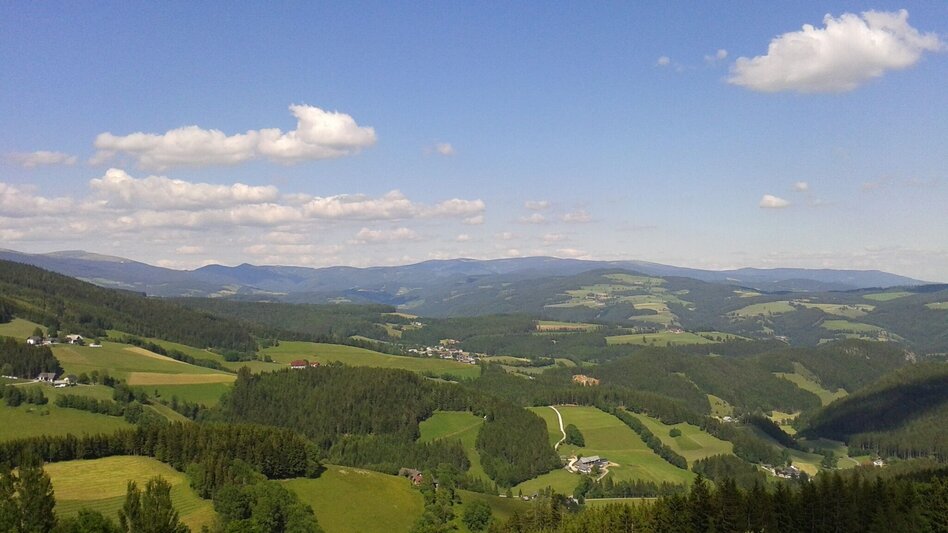 Hiking route Villa path, Fischbach - Touren-Impression #2.1 | © Marianne Dornhofer