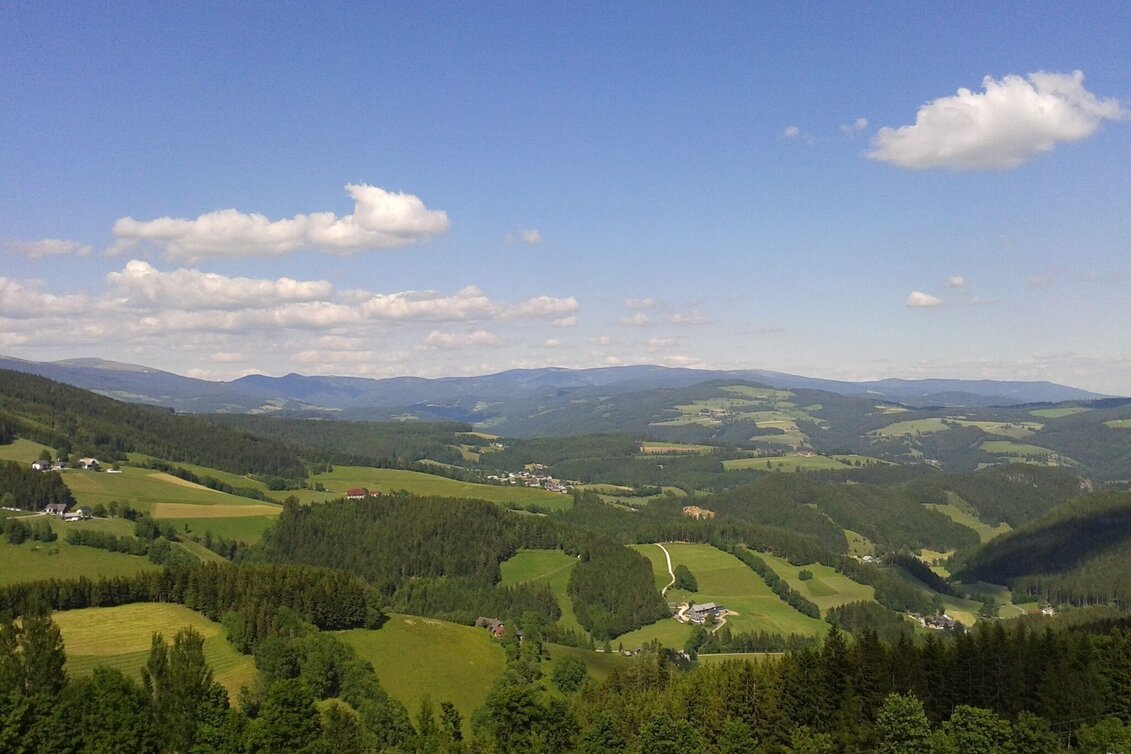 Hiking route Villa path, Fischbach - Touren-Impression #1 | © Marianne Dornhofer