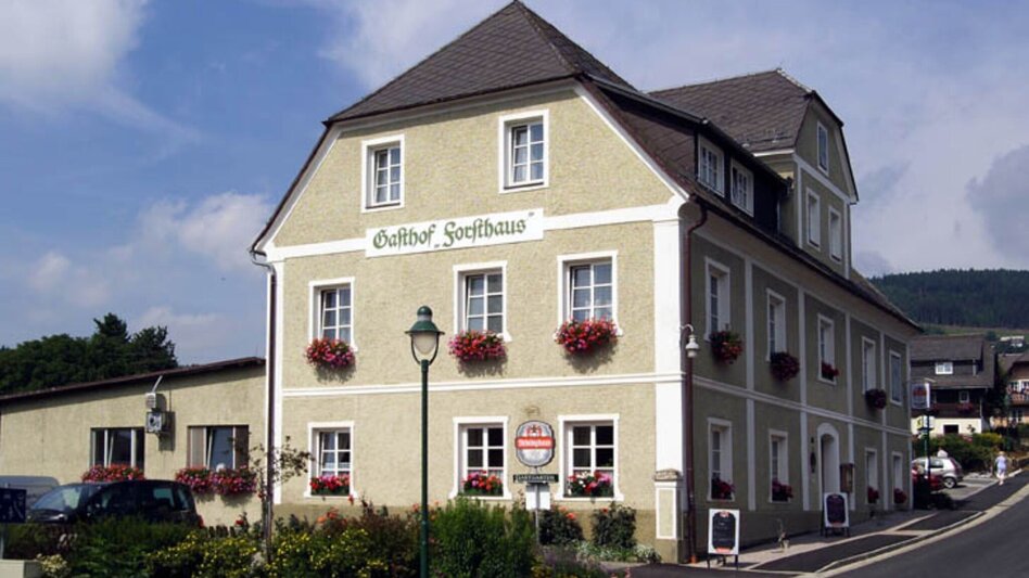 Hiking route Villa path, Fischbach - Touren-Impression #2.5 | © Forsthaus Familie Übeleis
