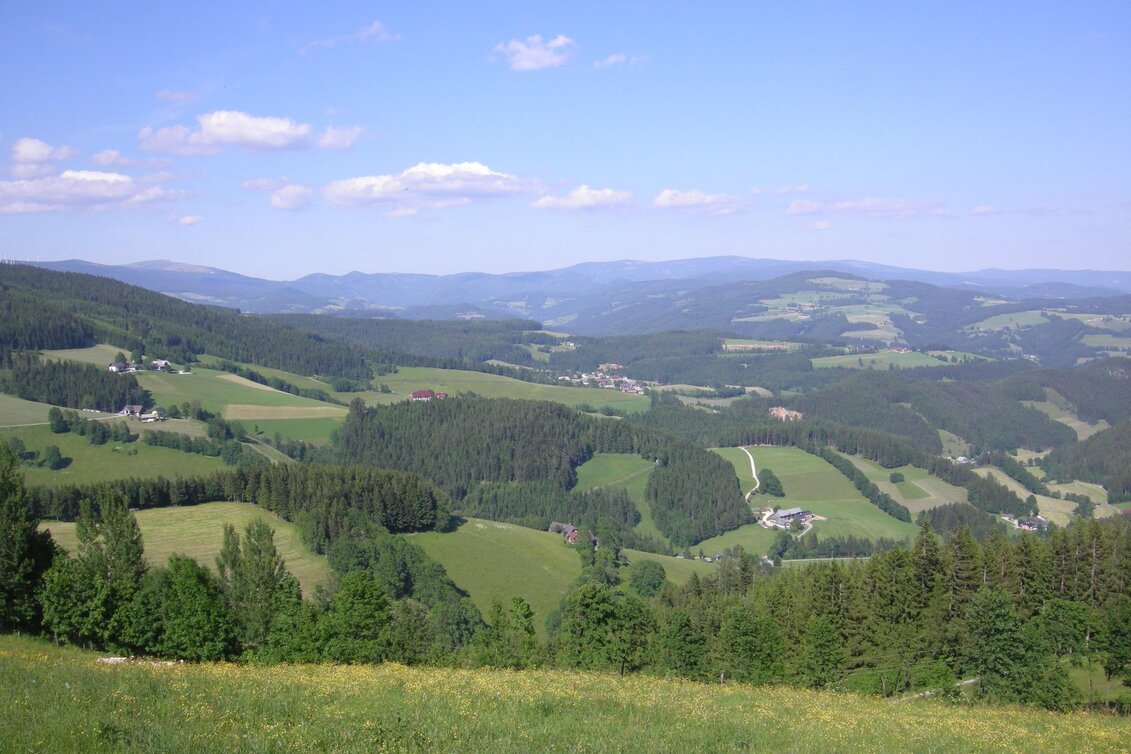 Wanderung Fischbacher Höhenweg, Fischbach - Touren-Impression #1 | © Oststeiermark Tourismus