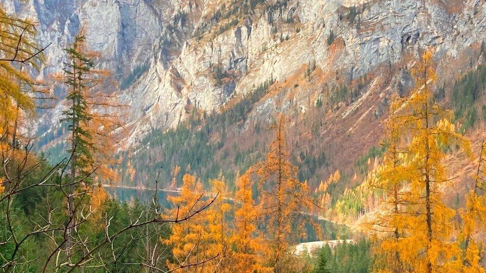 Radfahren Prossen LN 14 - Touren-Impression #2.8 | © Tourismusverband ERZBERG LEOBEN