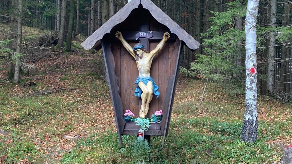 Radfahren Prossen LN 14 - Touren-Impression #2.10 | © Tourismusverband ERZBERG LEOBEN