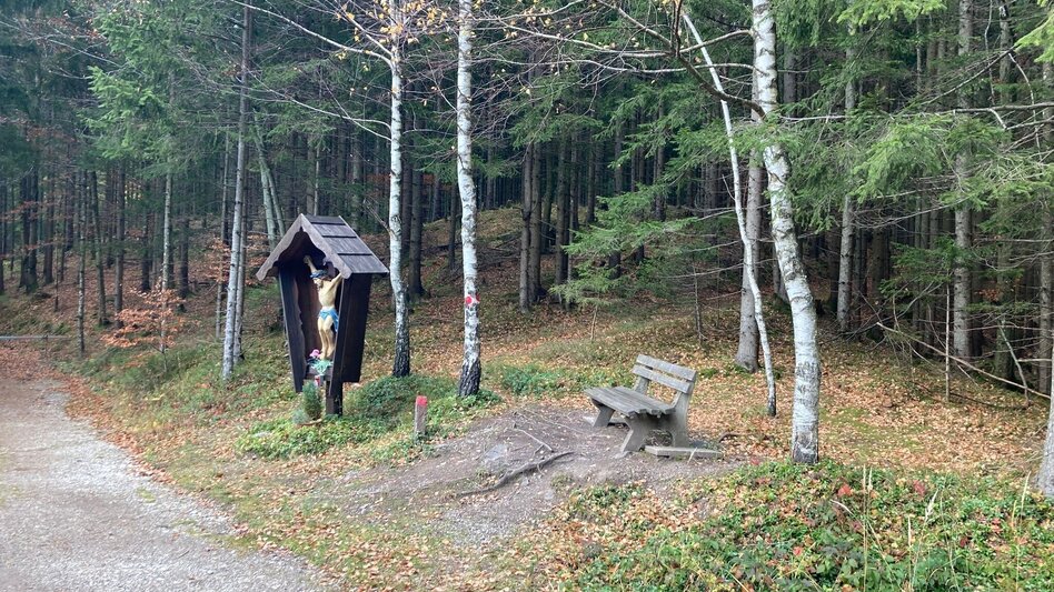 Radfahren Prossen LN 14 - Touren-Impression #2.11 | © Tourismusverband ERZBERG LEOBEN