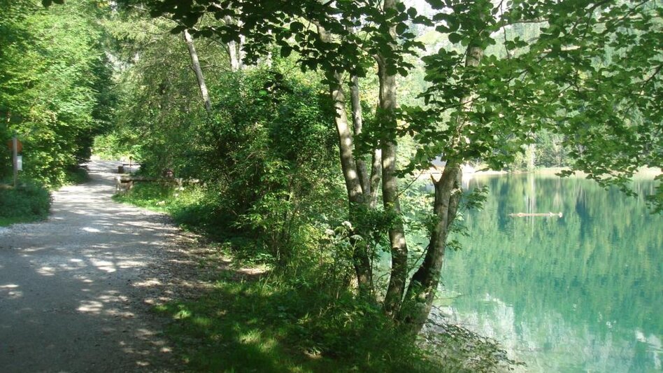 Radfahren Prossen LN 14 - Touren-Impression #2.2 | © Tourismusverband ERZBERG LEOBEN