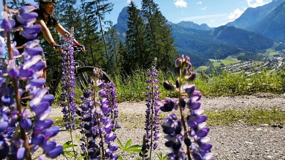 Radfahren Prossen LN 14 - Touren-Impression #2.4 | © Tourismusverband ERZBERG LEOBEN