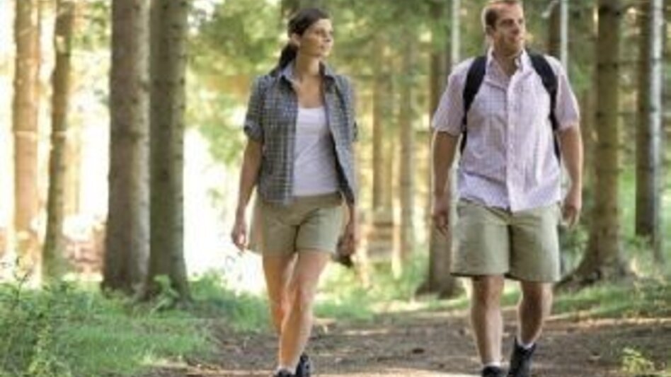 Wanderung Bildstockpromenade und Drachensitz, Fischbach - Touren-Impression #2.1 | © Oststeiermark Tourismus