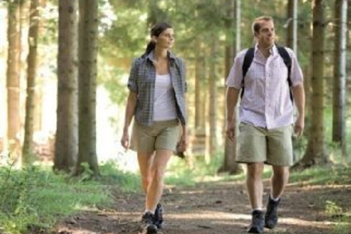 Wanderung Bildstockpromenade und Drachensitz, Fischbach - Touren-Impression #1 | © Oststeiermark Tourismus