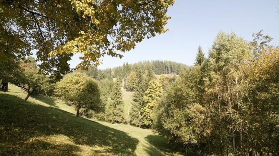 Hiking route Via Fischgraben to the orphan blacksmith, Fischbach - Touren-Impression #2.1 | © Oststeiermark Tourismus