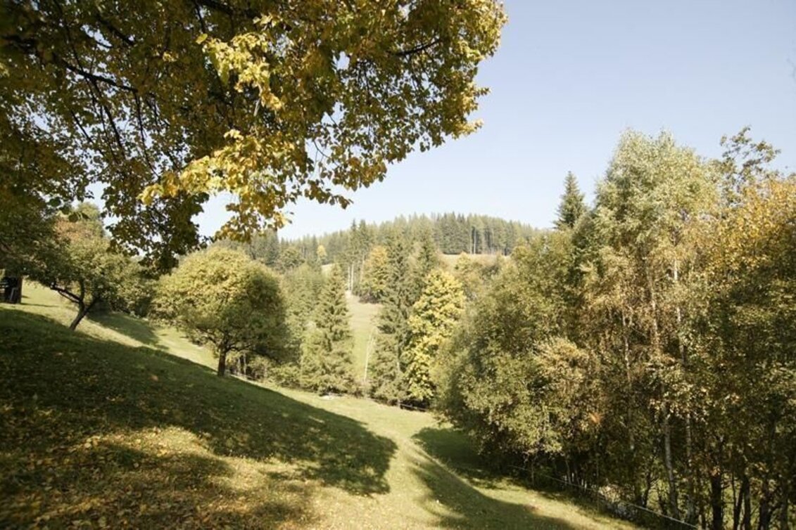 Hiking route Via Fischgraben to the orphan blacksmith, Fischbach - Touren-Impression #1 | © Oststeiermark Tourismus
