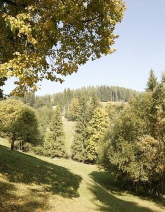 Fischbacher Naturlandschaft | © Oststeiermark Tourismus