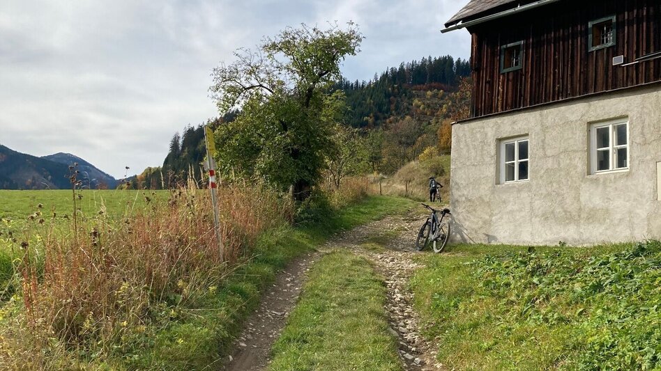 Mountainbike MTB Erzbergblick LN 12 - Touren-Impression #2.9 | © Tourismusverband ERZBERG LEOBEN