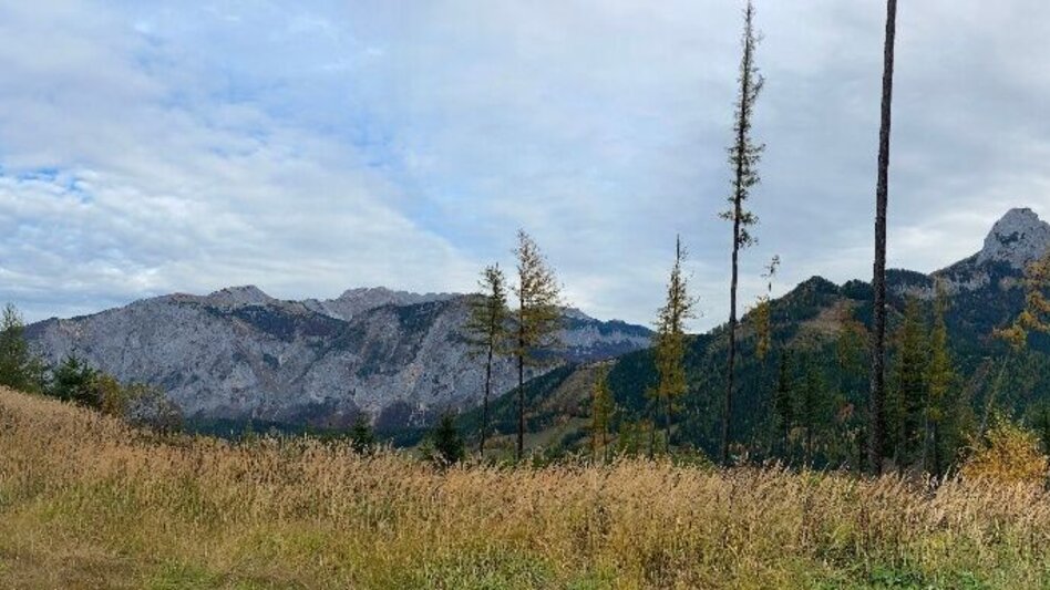 Mountainbike MTB Erzbergblick LN 12 - Touren-Impression #2.8 | © Tourismusverband ERZBERG LEOBEN