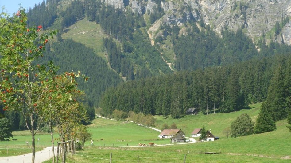 Mountainbike MTB Erzbergblick LN 12 - Touren-Impression #2.1 | © Tourismusverband ERZBERG LEOBEN