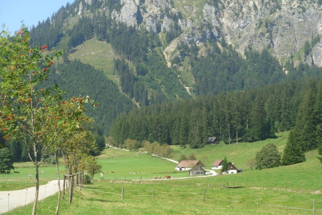Mountainbike MTB Erzbergblick LN 12 - Touren-Impression #1 | © Tourismusverband ERZBERG LEOBEN