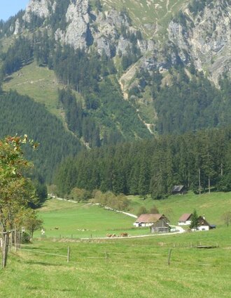 Eisenerzer Ramsau in Richtung Radmerer Hals | Petra Loitzl | © Tourismusverband ERZBERG LEOBEN