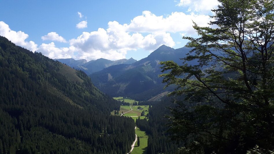 Mountainbike MTB Kaiserschildrunde LN 15 - Touren-Impression #2.7 | © Tourismusverband ERZBERG LEOBEN
