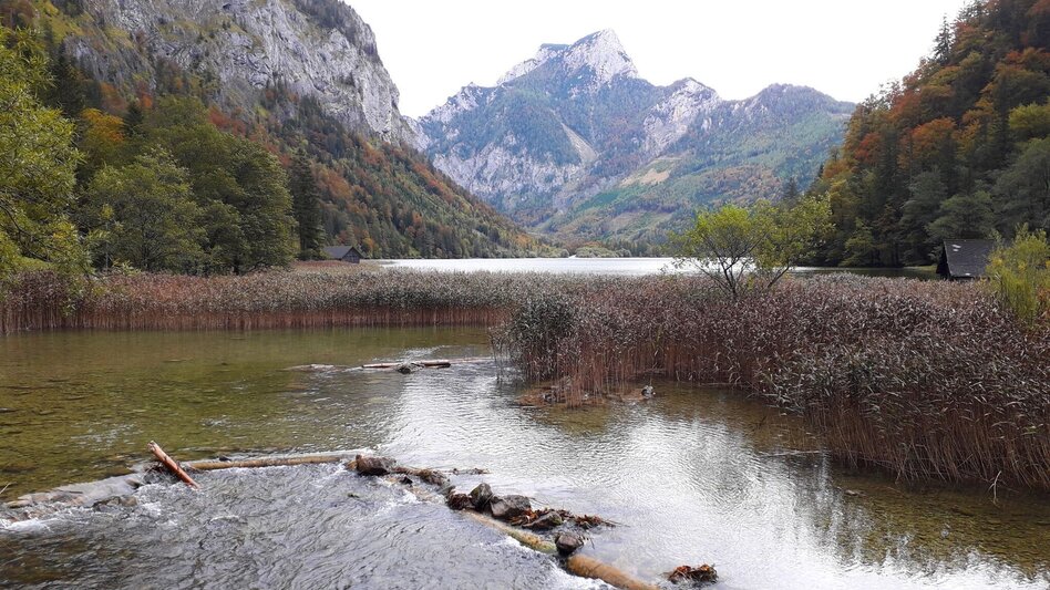 Mountainbike MTB Kaiserschildrunde LN 15 - Touren-Impression #2.9 | © Tourismusverband ERZBERG LEOBEN
