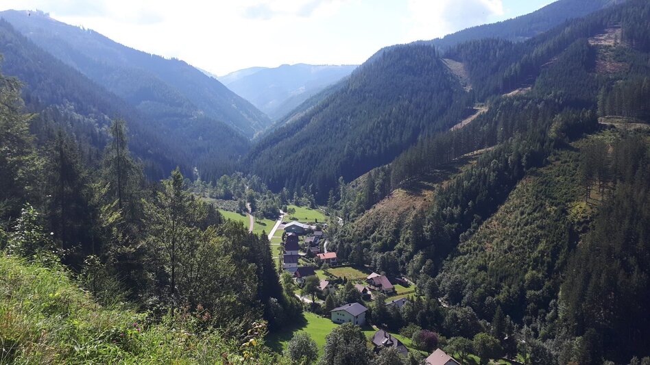 Mountainbike MTB Kaiserschildrunde LN 15 - Touren-Impression #2.15 | © Tourismusverband ERZBERG LEOBEN