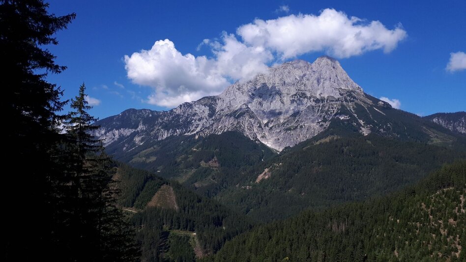 Mountainbike MTB Kaiserschildrunde LN 15 - Touren-Impression #2.16 | © Tourismusverband ERZBERG LEOBEN