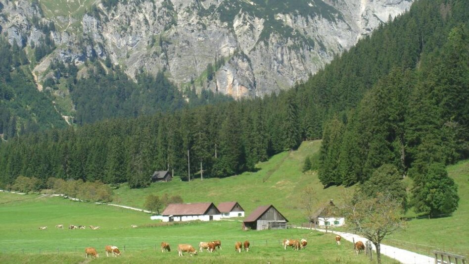Mountainbike MTB Kaiserschildrunde LN 15 - Touren-Impression #2.2 | © Tourismusverband ERZBERG LEOBEN