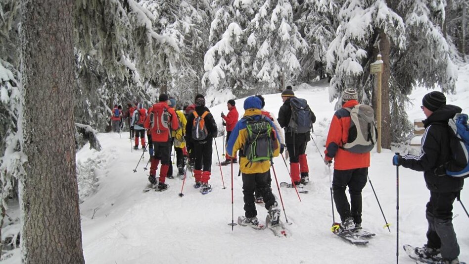 Snowshoe walking Hausbergrunde - Touren-Impression #2.1 | © TV Hochsteiermark