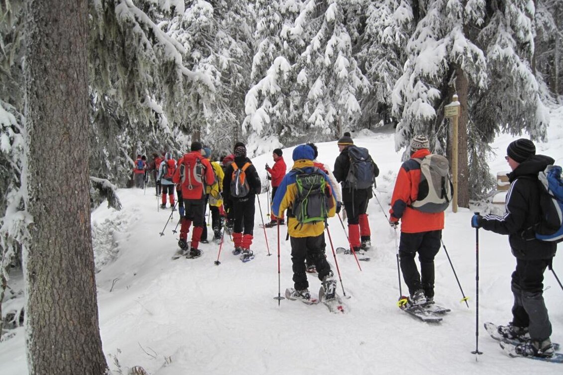 Snowshoe walking Hausbergrunde - Touren-Impression #1 | © TV Hochsteiermark