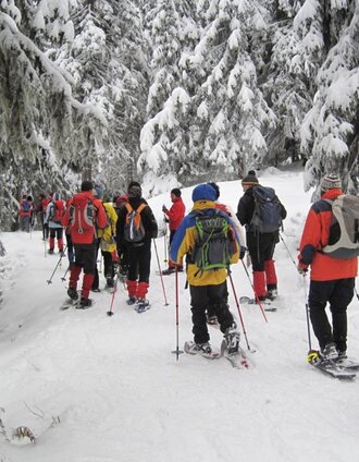 Schneeschuhwanderung | Regina Müllner | © TV Hochsteiermark
