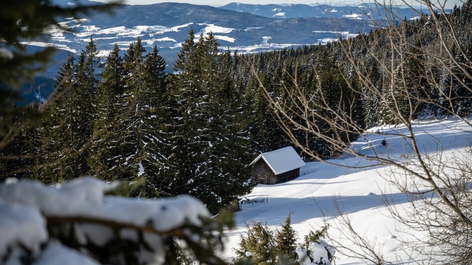 Langlauf Skating Panoramaloipe - Langlaufzentrum Hochwechsel/ Rabl-Kreuz, Waldbach-Mönichwald - Touren-Impression #2.2