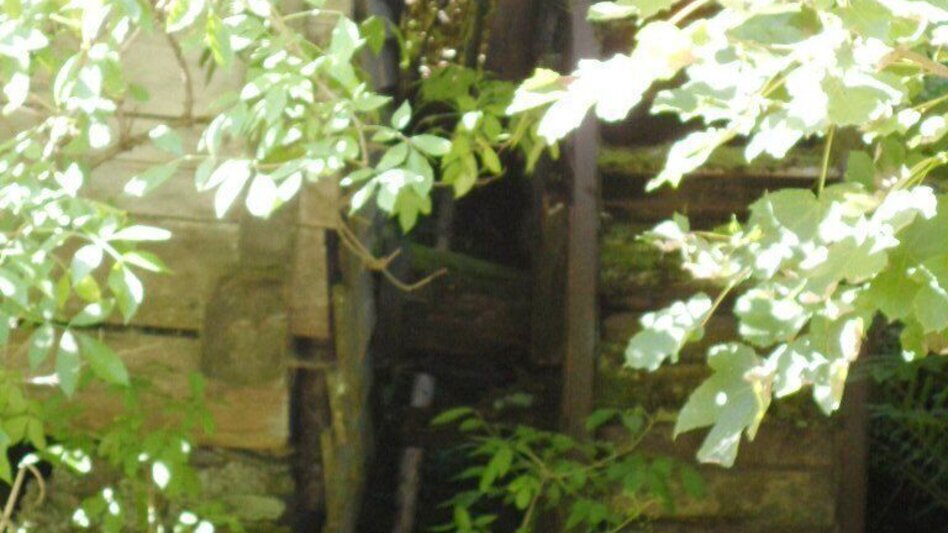 Theme path Historischer Wanderweg durch Salla - Touren-Impression #2.9 | © Region Graz