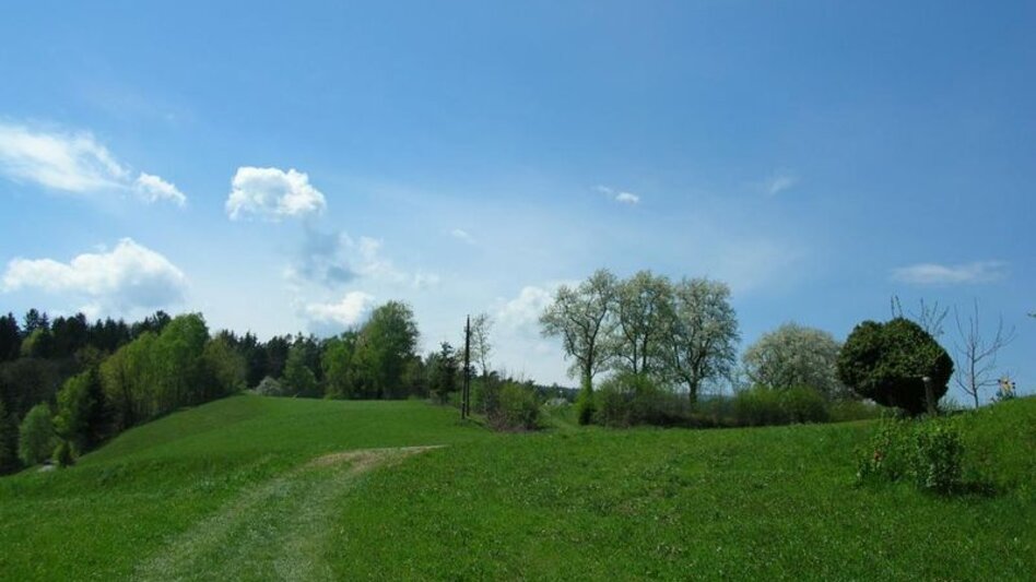 Wanderung Ligister Rundweg kurz - Touren-Impression #2.2 | © agentur.smac