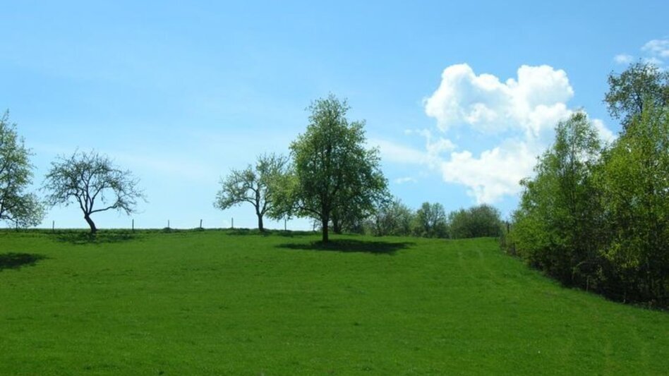 Wanderung Ligister Rundweg kurz - Touren-Impression #2.3 | © agentur.smac