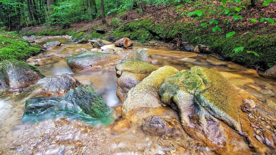 Hiking route 7 Bacherl Weg- "Over 7 bridges you must go..." - Touren-Impression #2.1 | © Oststeiermark Tourismus