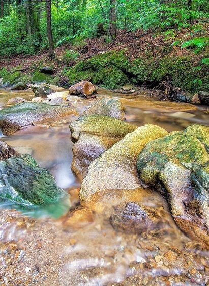 Water is life at the 7 Bacherl Weg in Stubenberg, Eastern Styria | © Oststeiermark Tourismus | Ewald Neffe | © Oststeiermark Tourismus
