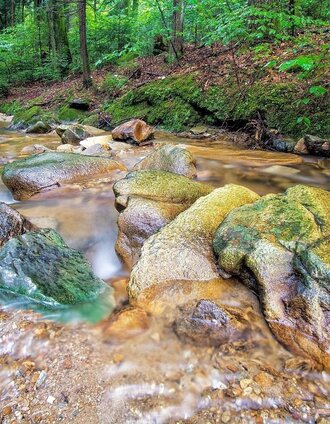 Wasser ist Leben,7 Bacherl Weg in Stubenberg, Oststeiermark | Ewald Neffe | © Oststeiermark Tourismus