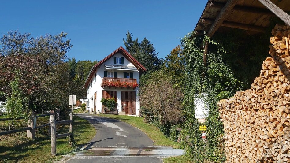 Hiking route 7 Bacherl Weg- "Over 7 bridges you must go..." - Touren-Impression #2.7 | © Oststeiermark Tourismus