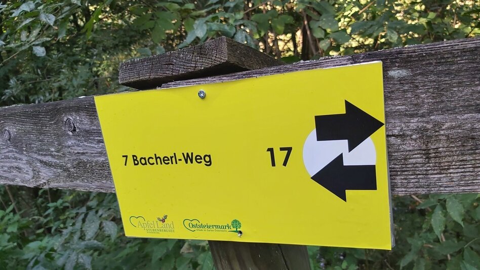 Hiking route 7 Bacherl Weg- "Over 7 bridges you must go..." - Touren-Impression #2.16 | © Oststeiermark Tourismus