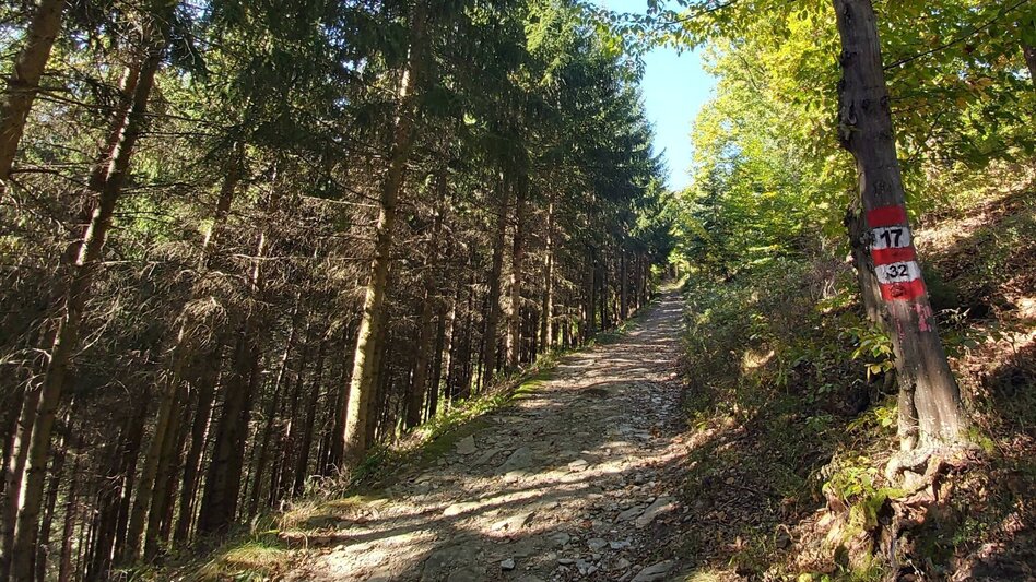 Hiking route 7 Bacherl Weg- "Over 7 bridges you must go..." - Touren-Impression #2.5 | © Oststeiermark Tourismus