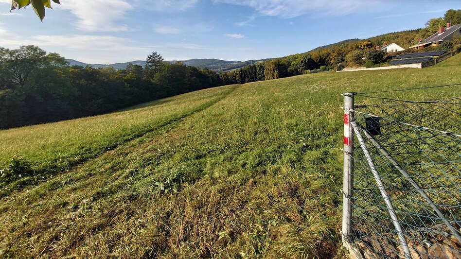 Hiking route 7 Bacherl Weg- "Over 7 bridges you must go..." - Touren-Impression #2.12 | © Oststeiermark Tourismus