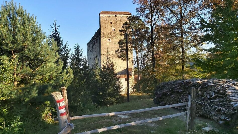 Hiking route 7 Bacherl Weg- "Over 7 bridges you must go..." - Touren-Impression #2.6 | © Oststeiermark Tourismus