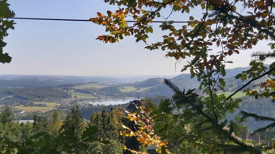 Hiking route 7 Bacherl Weg- "Over 7 bridges you must go..." - Touren-Impression #2.9 | © Oststeiermark Tourismus