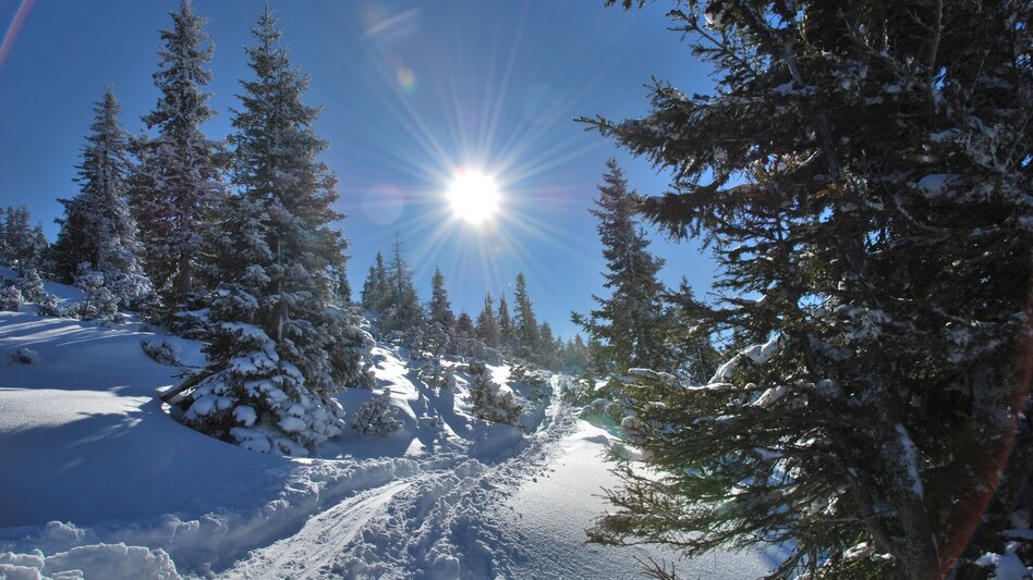 Snowshoe walking Über die Häuslalm auf den Buchbergkogel - Touren-Impression #2.4 | © Marktgemeinde Thörl