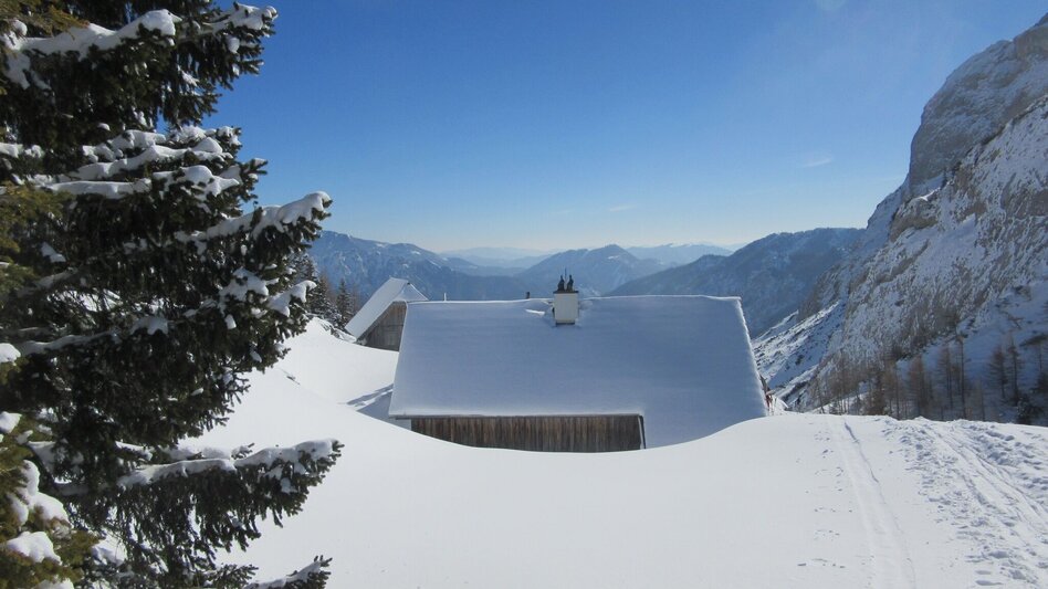 Snowshoe walking Über die Häuslalm auf den Buchbergkogel - Touren-Impression #2.5 | © Marktgemeinde Thörl