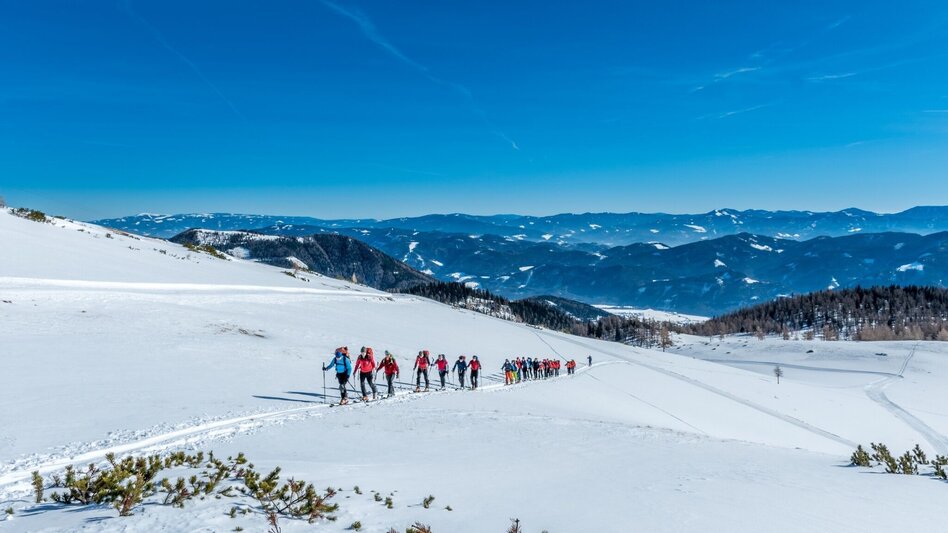 Schneeschuh Von der Aflenzer Bürgeralm auf die Schönleiten - Touren-Impression #2.3 | © TV Hochsteiermark