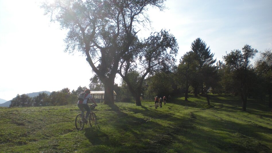 Mountainbike Pötschen Runde in der LACTOSAN Sportarena Kapfenberg - Touren-Impression #2.2 | © Hans Hollerer
