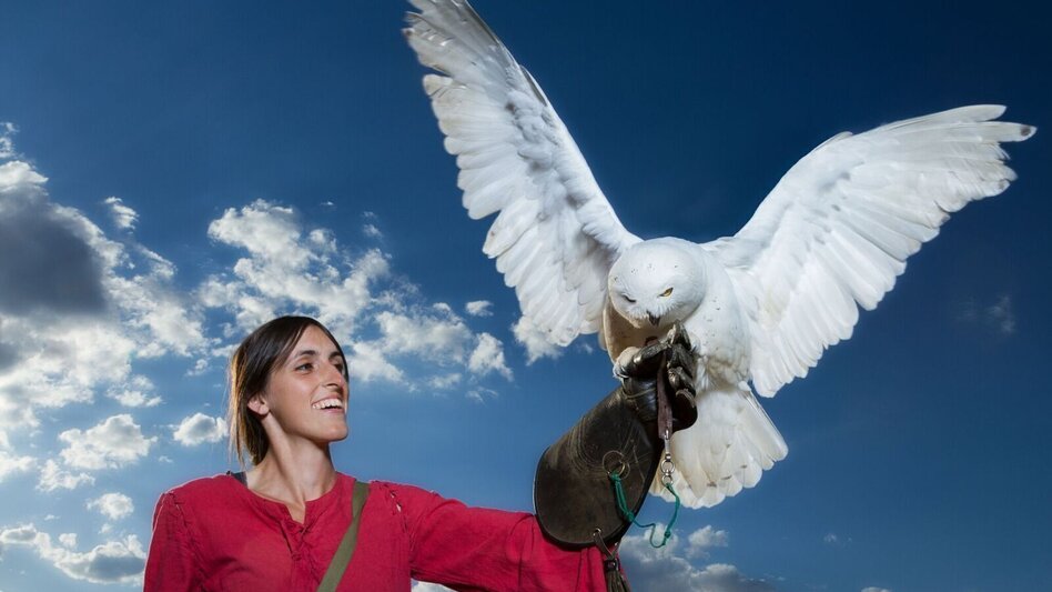 Mountain Biking 2 Rad Grill-Route in the LACTOSAN Sports Arena - Touren-Impression #2.5 | © Burg Oberkapfenberg