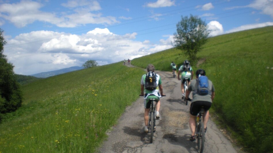 Mountain Biking GEMYSAG fitness trail in the Lactosan sports arena - Touren-Impression #2.2 | © Hans Hollerer